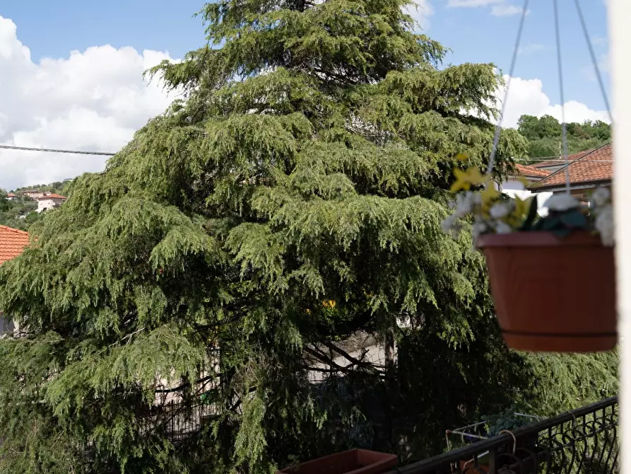 Immagine 36 di Casa bifamiliare in vendita  a Arcola