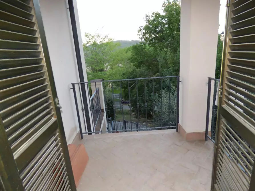 Immagine 4 di Terratetto in vendita  a Monterotondo Marittimo