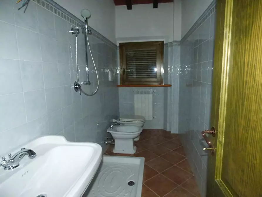 Immagine 14 di Terratetto in vendita  a Monterotondo Marittimo