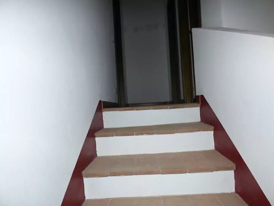 Immagine 12 di Terratetto in vendita  a Monterotondo Marittimo