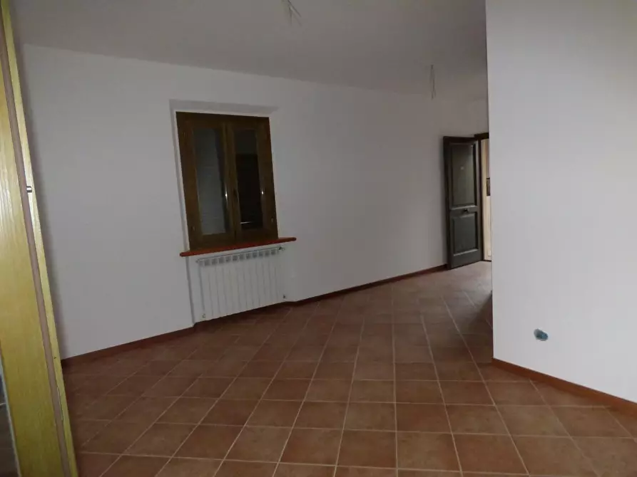 Immagine 7 di Terratetto in vendita  a Monterotondo Marittimo