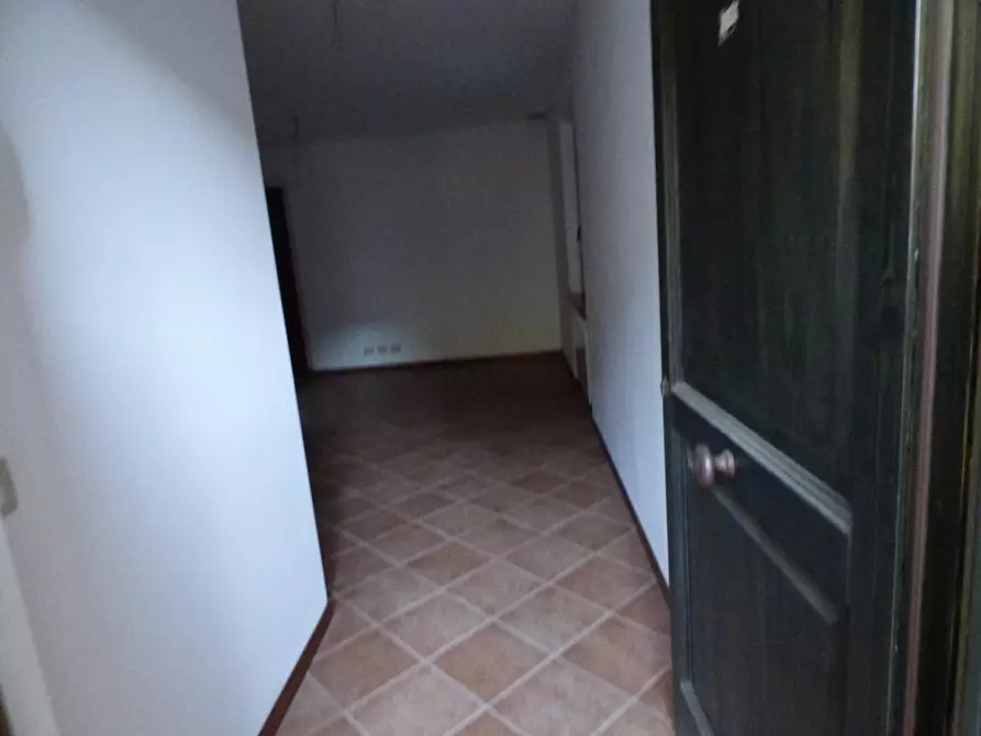 Immagine 3 di Terratetto in vendita  a Monterotondo Marittimo