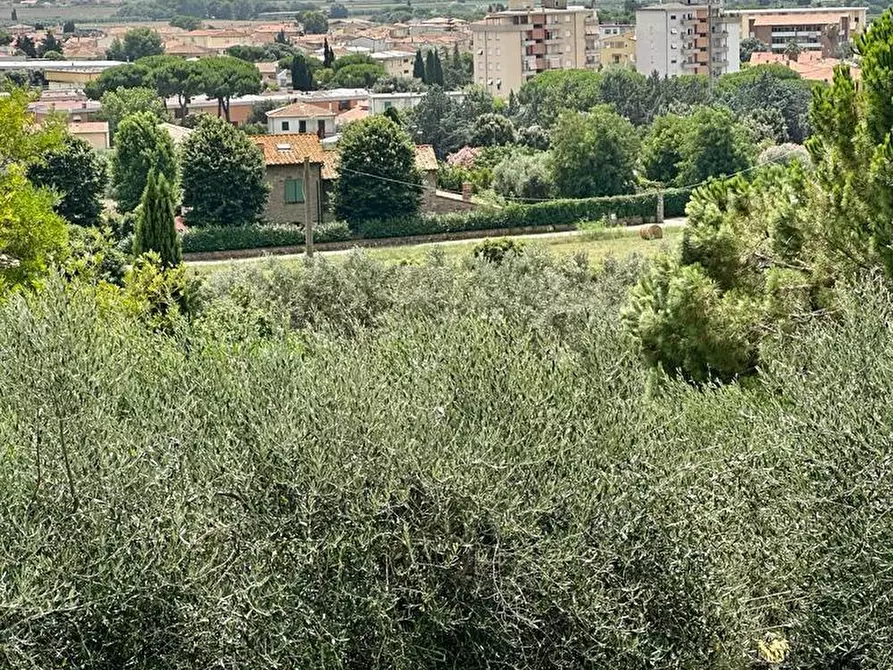Immagine 13 di Villa in vendita  a Campiglia Marittima