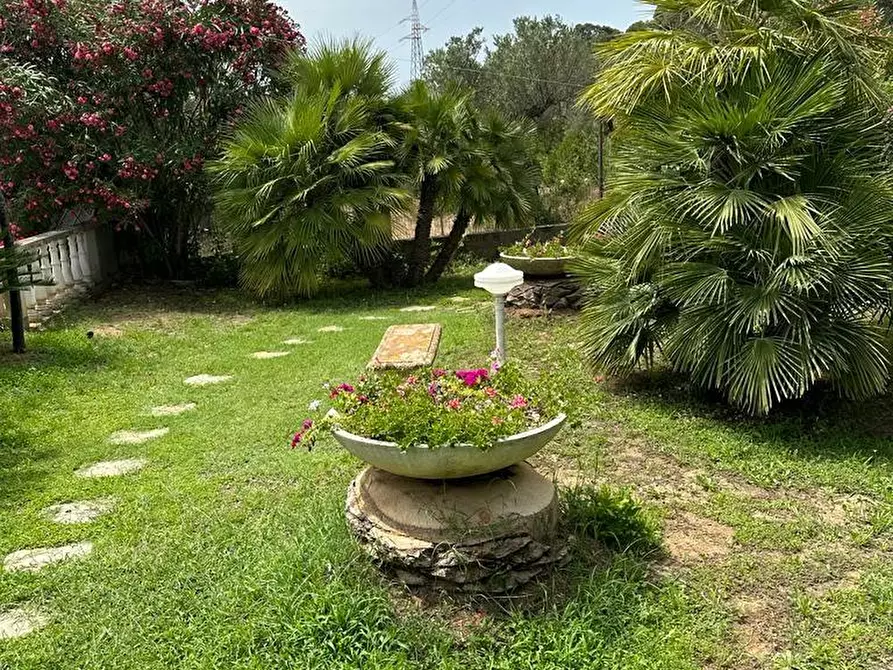 Immagine 11 di Villa in vendita  a Campiglia Marittima