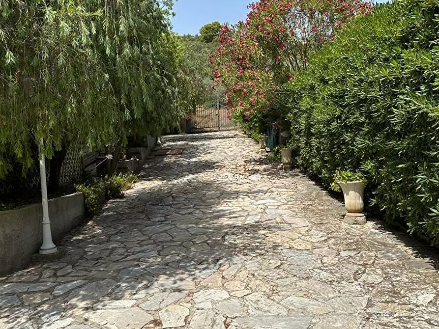 Immagine 2 di Villa in vendita  a Campiglia Marittima