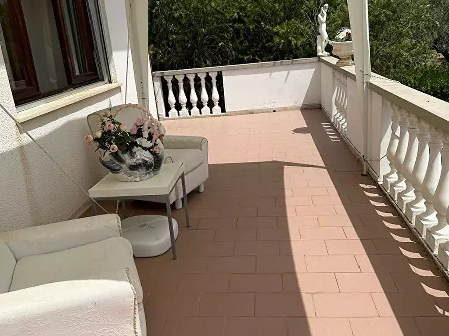 Immagine 12 di Villa in vendita  a Campiglia Marittima