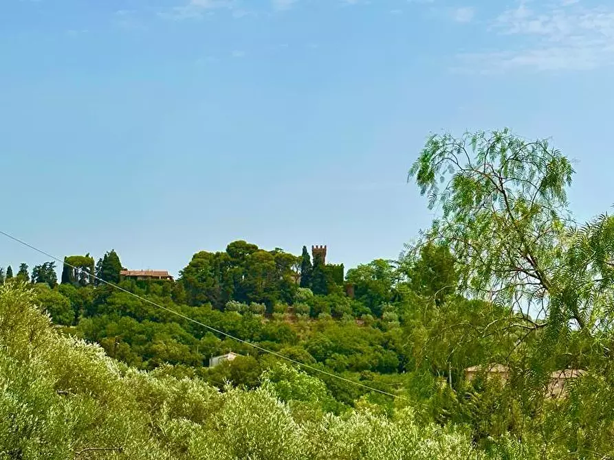 Immagine 4 di Villa in vendita  a Campiglia Marittima