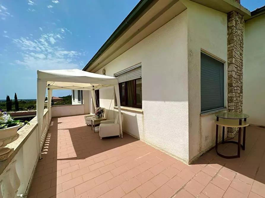 Immagine 16 di Villa in vendita  a Campiglia Marittima