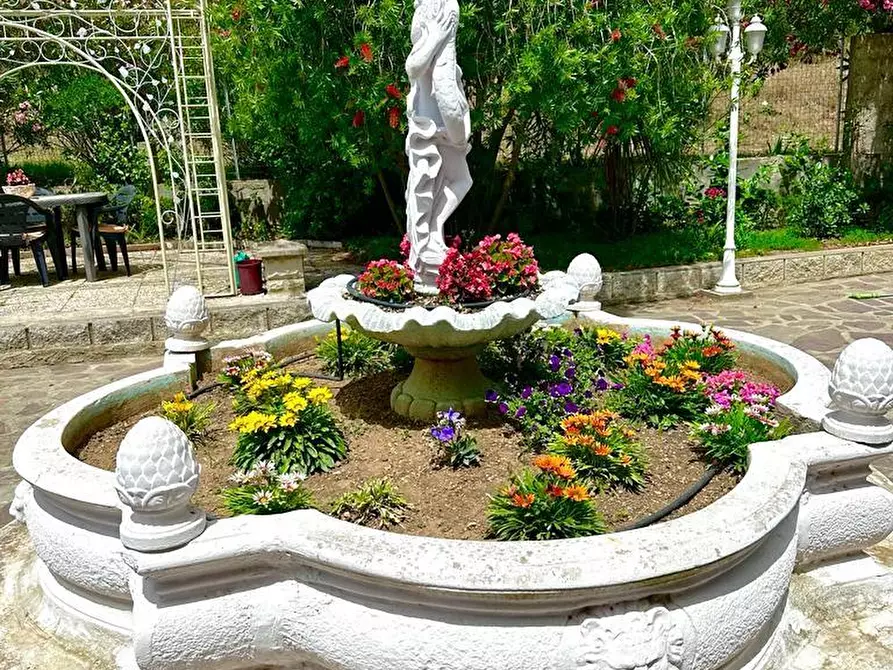 Immagine 23 di Villa in vendita  a Campiglia Marittima