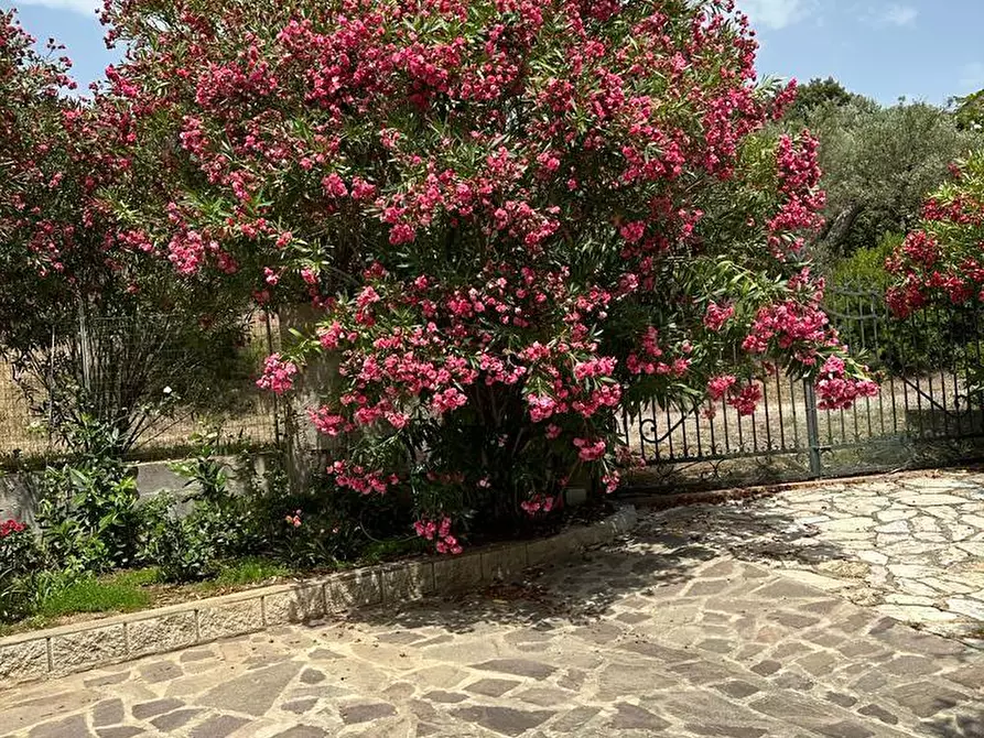 Immagine 10 di Villa in vendita  a Campiglia Marittima