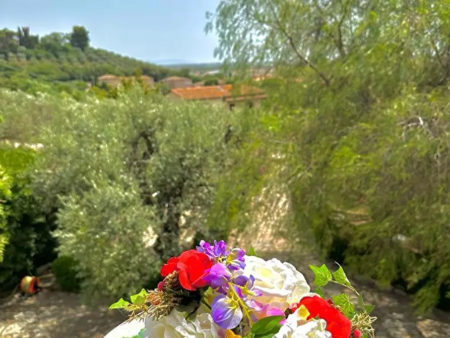 Immagine 5 di Villa in vendita  a Campiglia Marittima