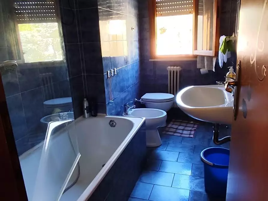 Immagine 5 di Appartamento in vendita  a Pisa