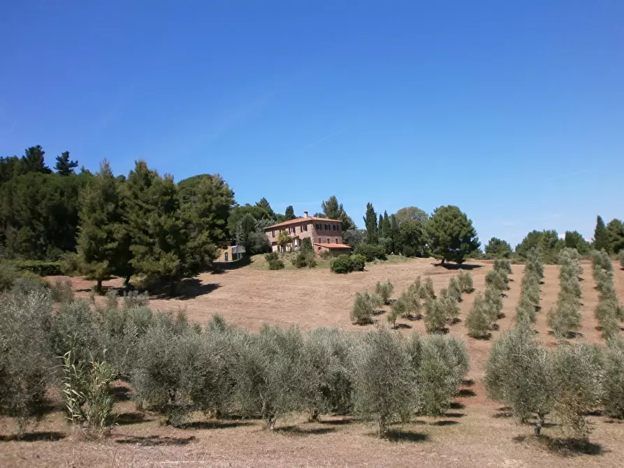 Immagine 2 di Rustico / casale in vendita  a Chianni