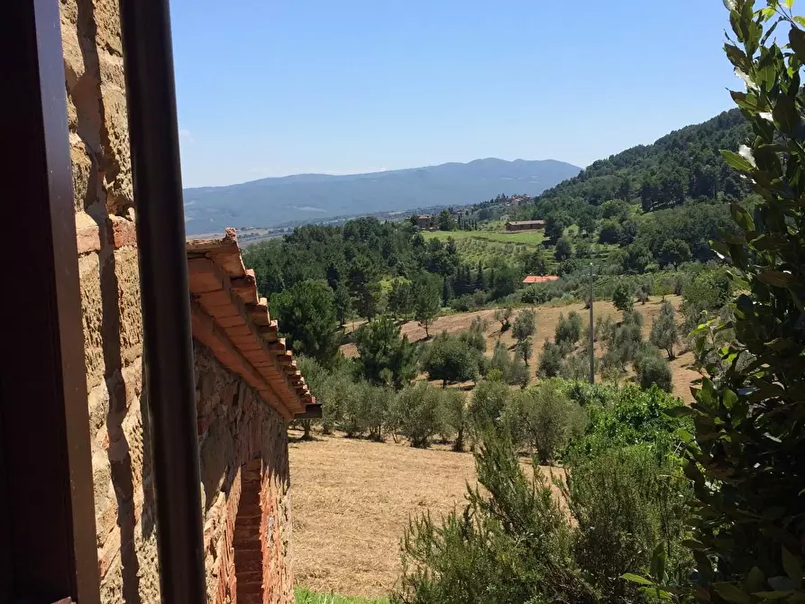 Immagine 24 di Rustico / casale in vendita  a Chianni
