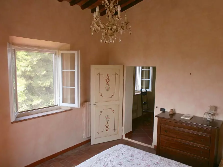 Immagine 21 di Rustico / casale in vendita  a Chianni