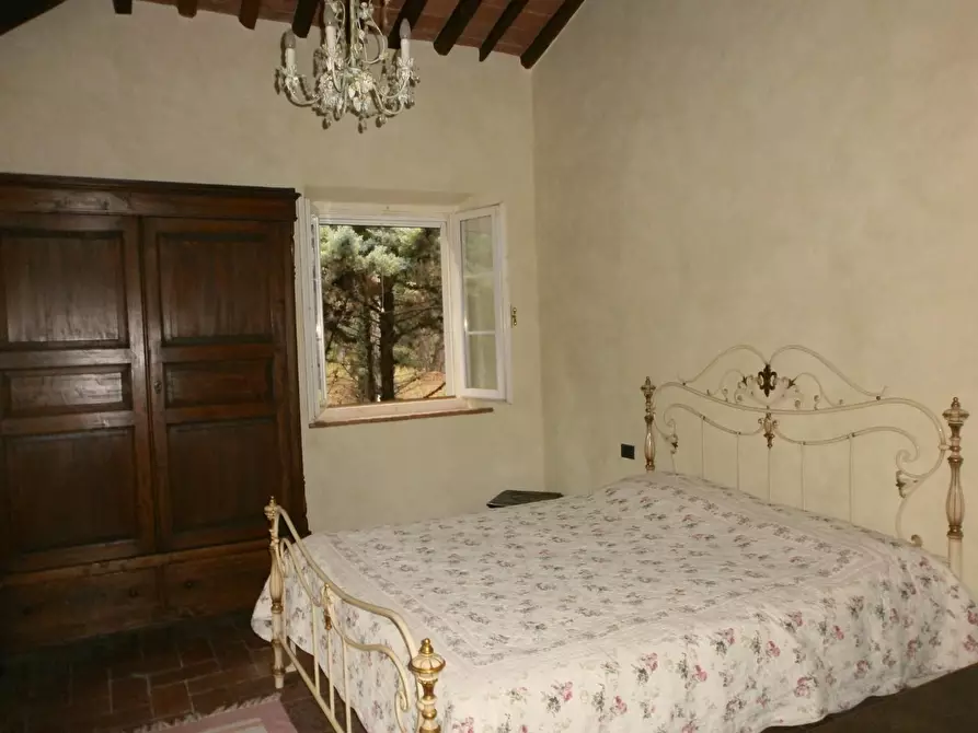 Immagine 9 di Rustico / casale in vendita  a Chianni