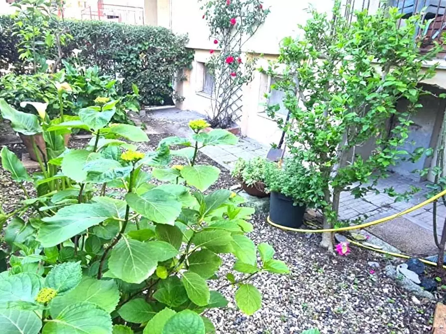 Immagine 26 di Appartamento in vendita  a Livorno