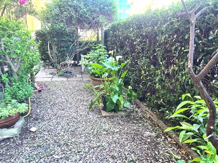 Immagine 2 di Appartamento in vendita  a Livorno