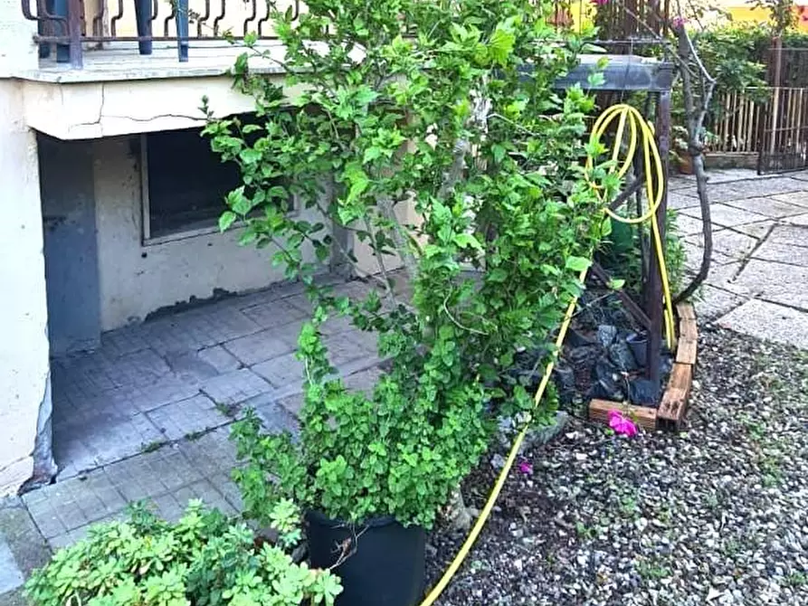 Immagine 25 di Appartamento in vendita  a Livorno