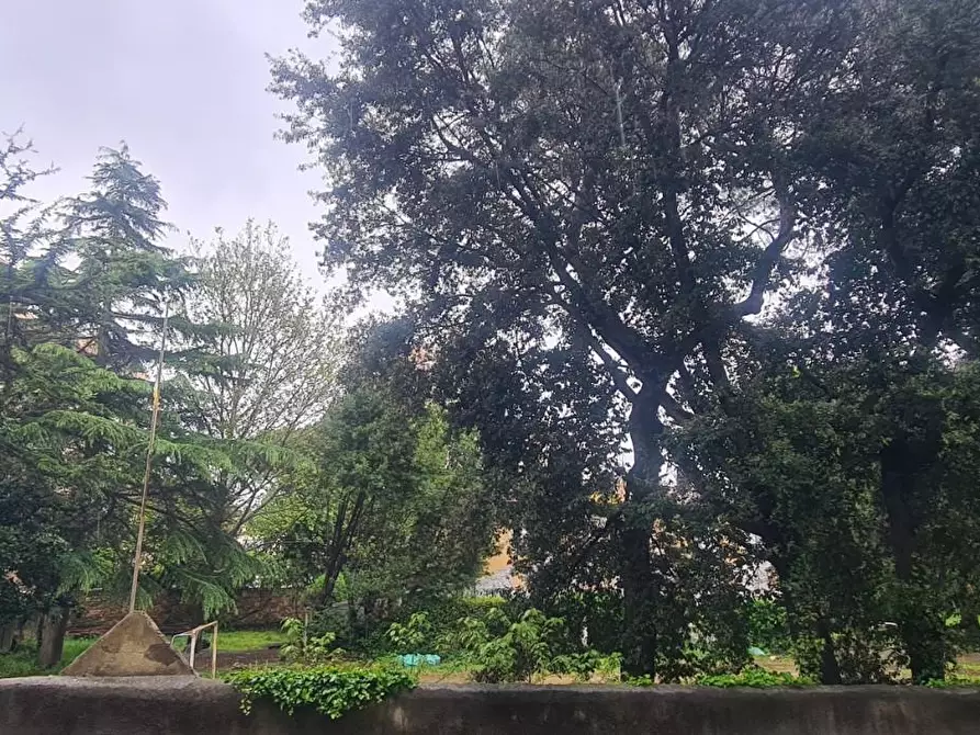 Immagine 15 di Appartamento in vendita  a Livorno