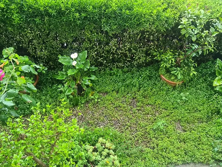 Immagine 24 di Appartamento in vendita  a Livorno