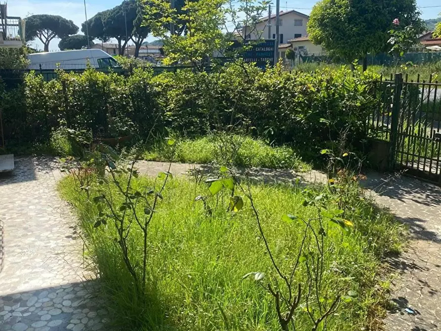 Immagine 3 di Appartamento in vendita  a Massa