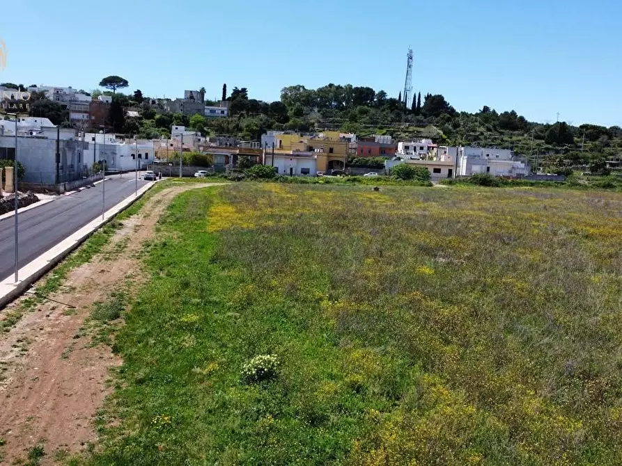 Immagine 11 di Terreno residenziale in vendita  a Alessano