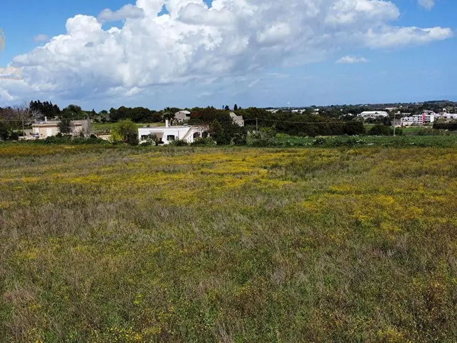 Immagine 13 di Terreno residenziale in vendita  a Alessano