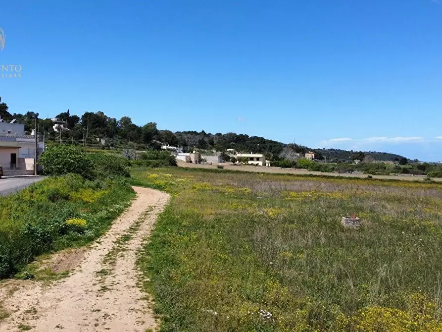 Immagine 14 di Terreno residenziale in vendita  a Alessano