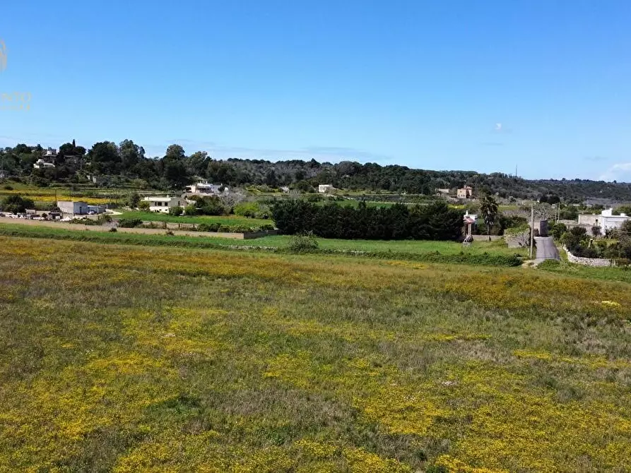 Immagine 7 di Terreno residenziale in vendita  a Alessano