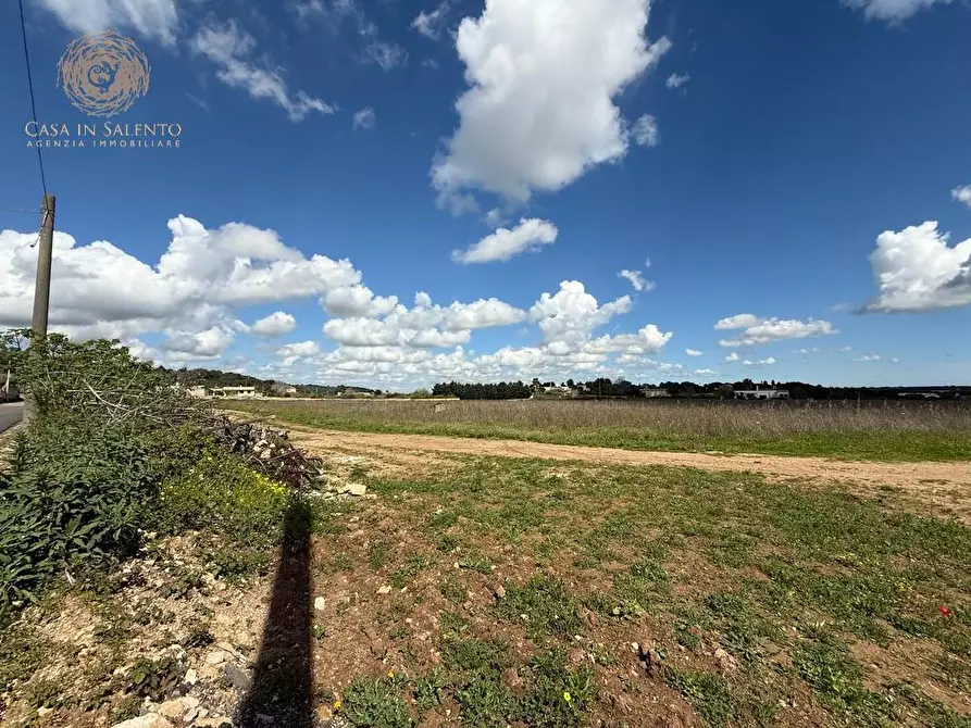 Immagine 3 di Terreno residenziale in vendita  a Alessano