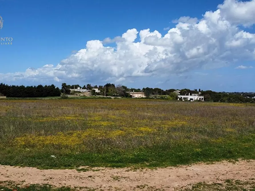 Immagine 15 di Terreno residenziale in vendita  a Alessano
