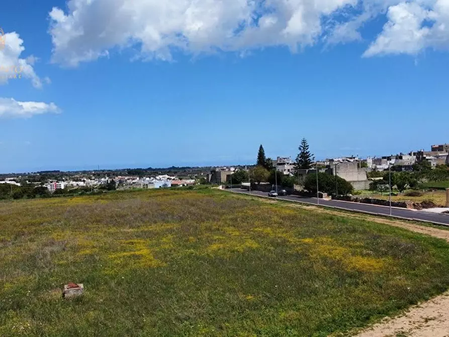 Immagine 17 di Terreno residenziale in vendita  a Alessano