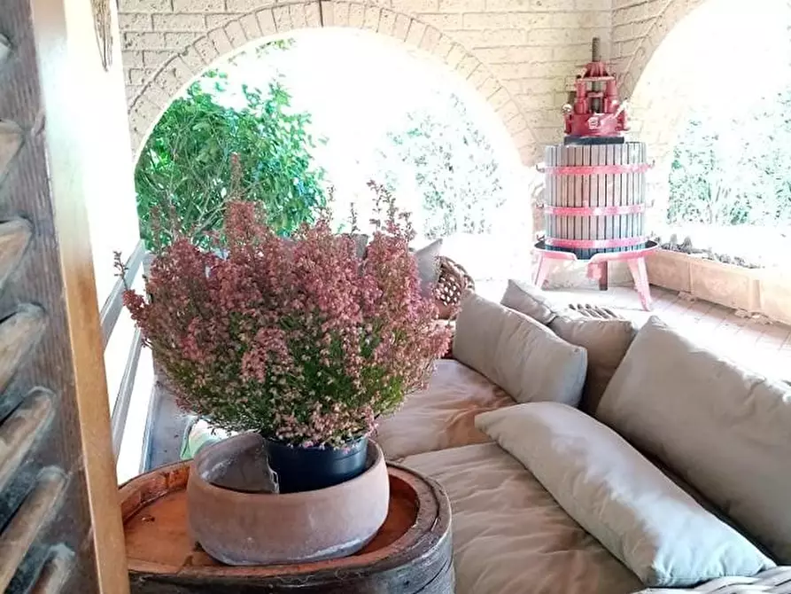 Immagine 11 di Casa colonica in vendita  a Campiglia Marittima