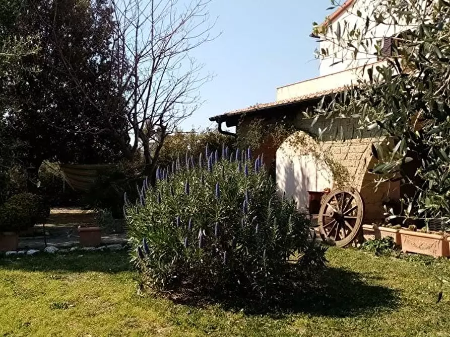 Immagine 1 di Casa colonica in vendita  a Piombino