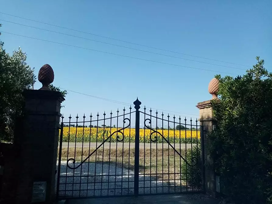 Immagine 3 di Casa colonica in vendita  a Campiglia Marittima