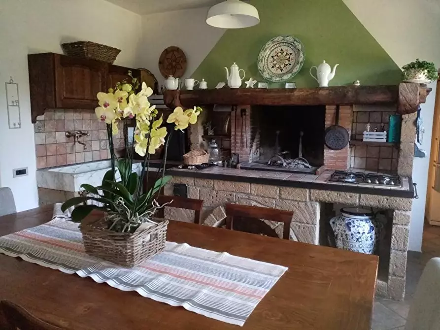 Immagine 9 di Casa colonica in vendita  a Campiglia Marittima