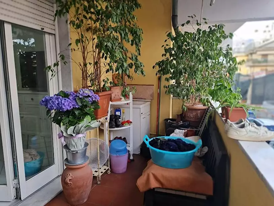 Immagine 8 di Appartamento in vendita  a Carrara