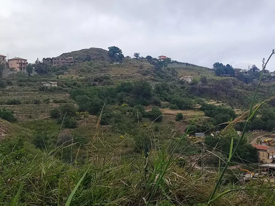 Immagine 4 di Terreno agricolo in vendita  a Castelmola