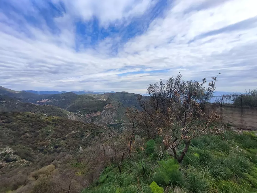 Immagine 9 di Terreno agricolo in vendita  a Castelmola