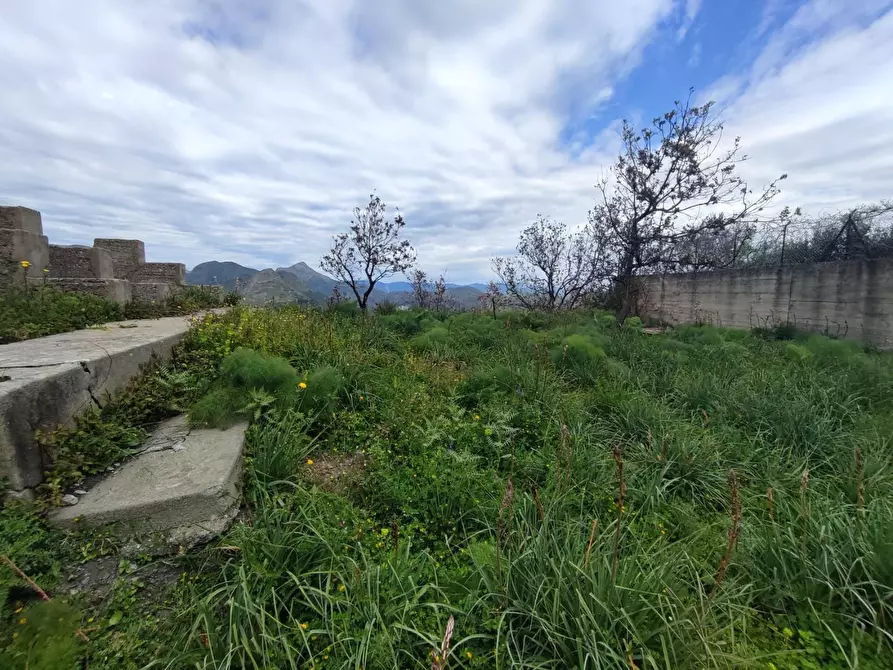 Immagine 12 di Terreno agricolo in vendita  a Castelmola