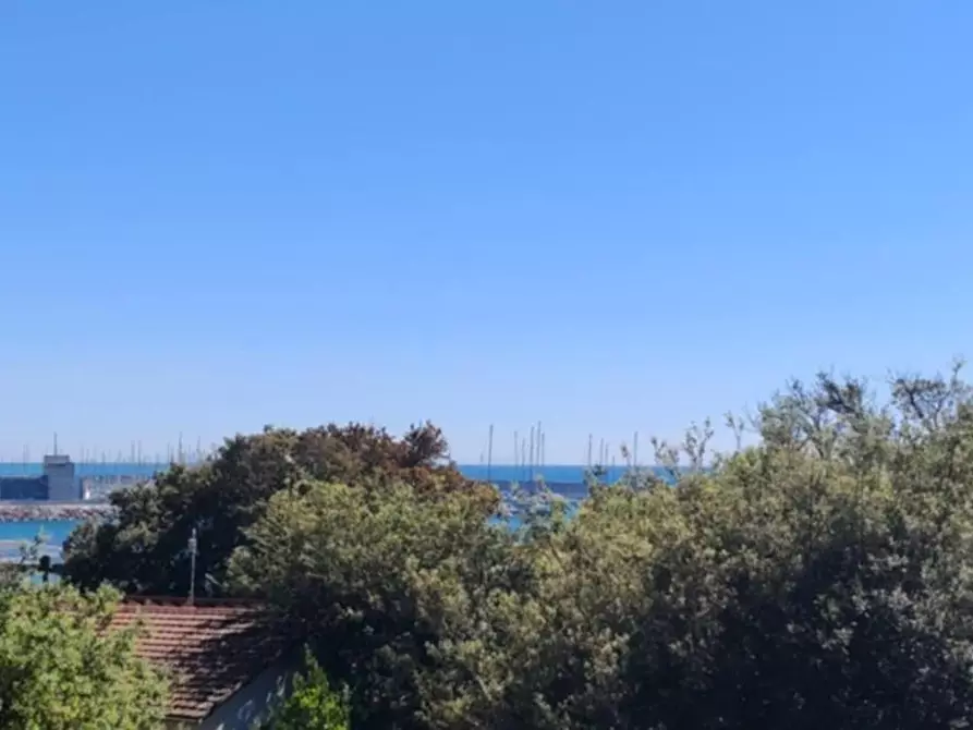 Immagine 15 di Appartamento in vendita  a Rosignano Marittimo