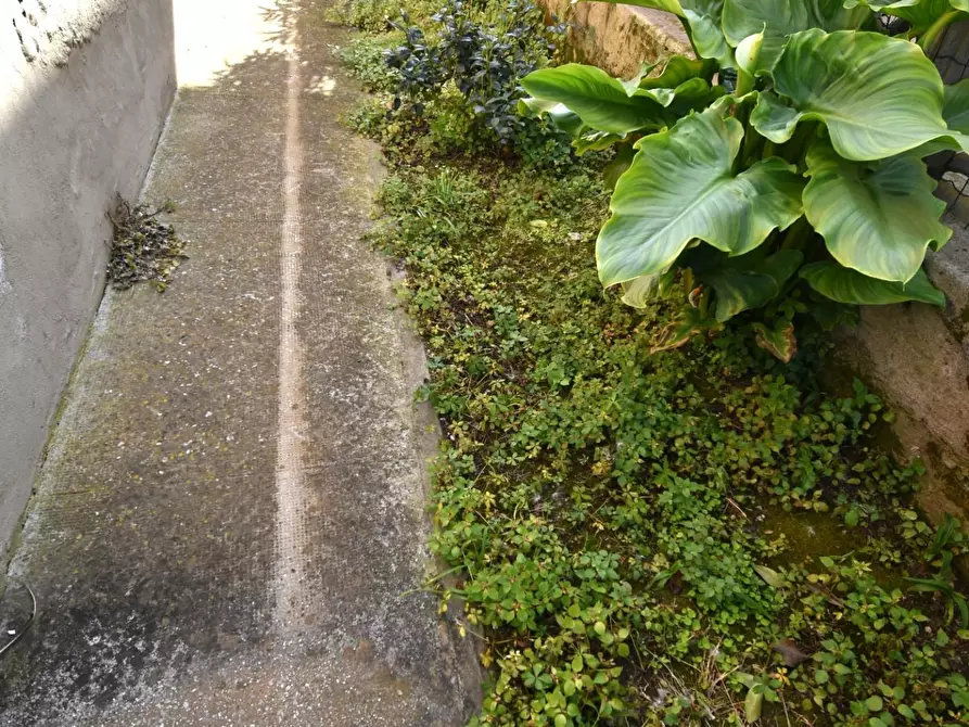 Immagine 32 di Villa in vendita  a San Giuliano Terme