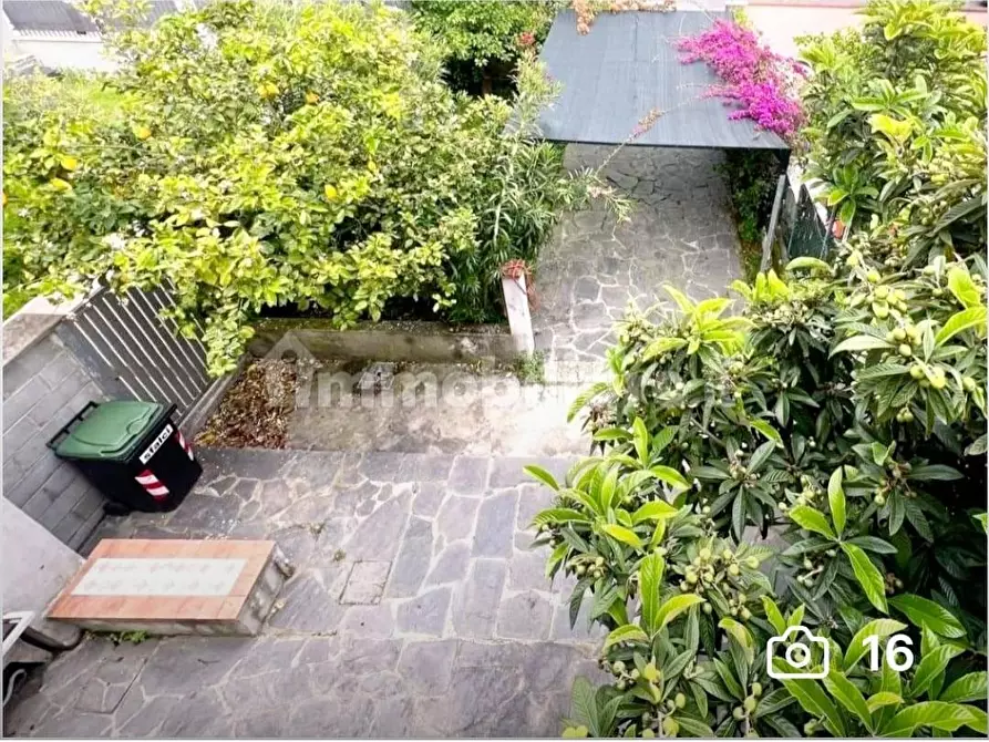 Immagine 1 di Terratetto in vendita  a Carrara