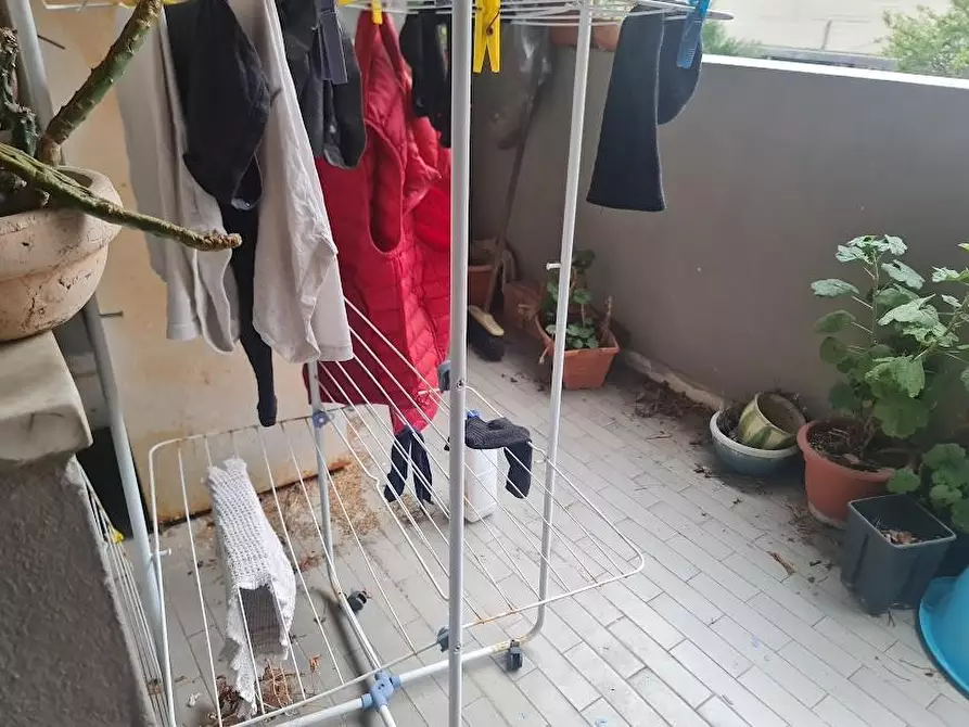 Immagine 15 di Appartamento in vendita  a Carrara