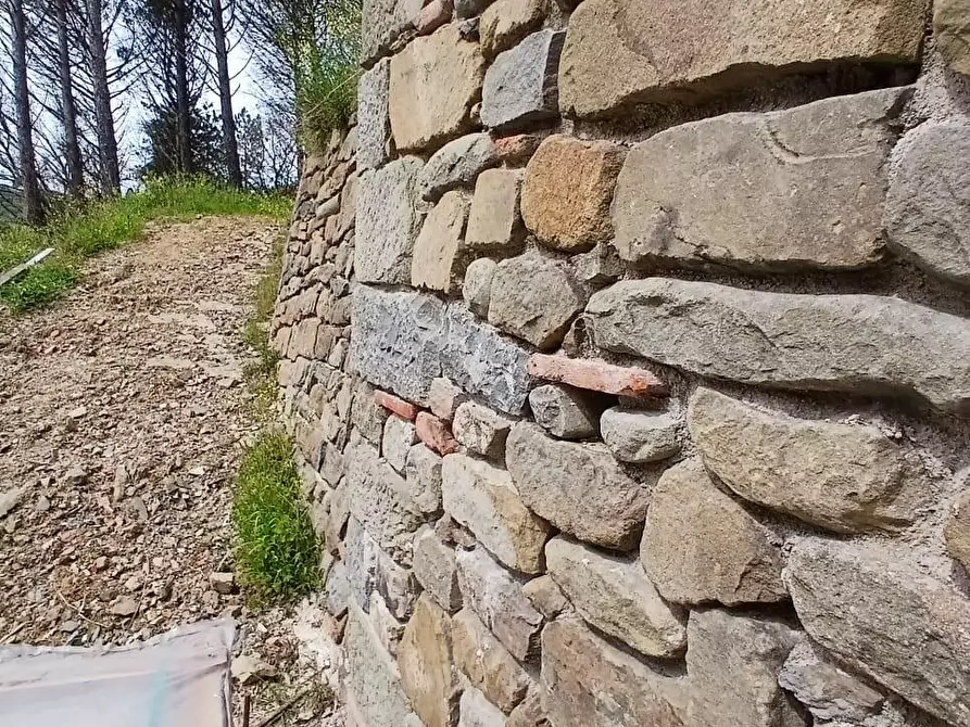 Immagine 5 di Terratetto in vendita  a Capannori