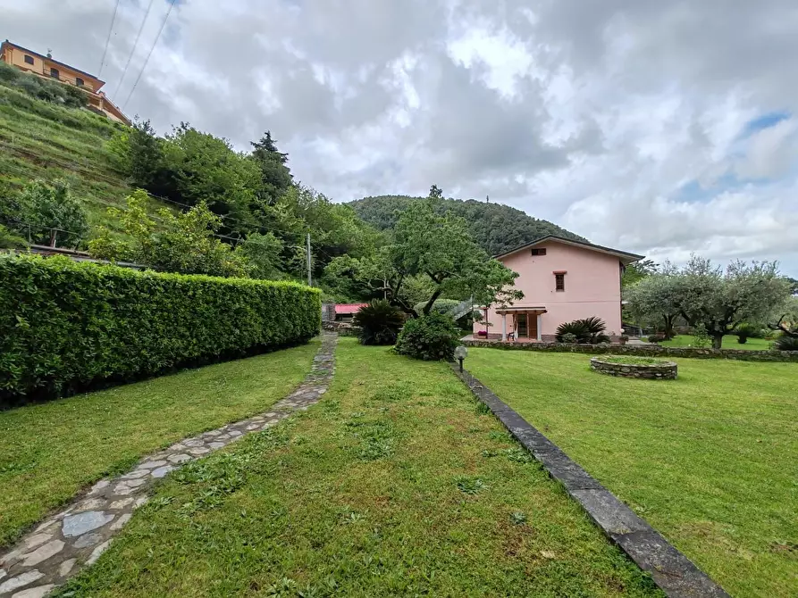 Immagine 6 di Casa bifamiliare in vendita  a Montignoso