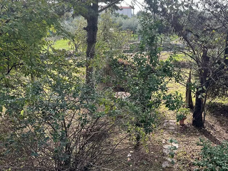 Immagine 11 di Casa indipendente in vendita  a Massa