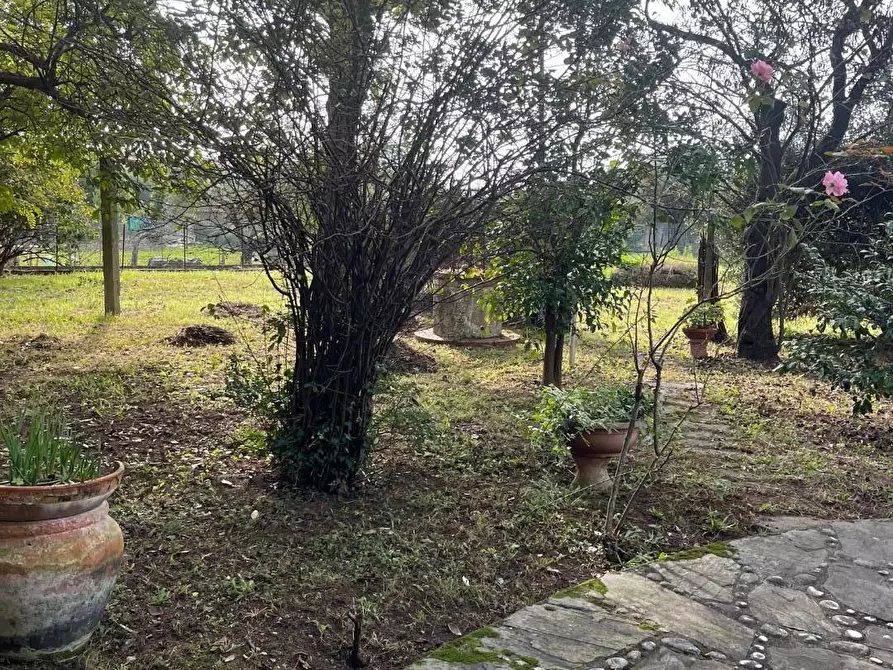 Immagine 5 di Casa indipendente in vendita  a Massa