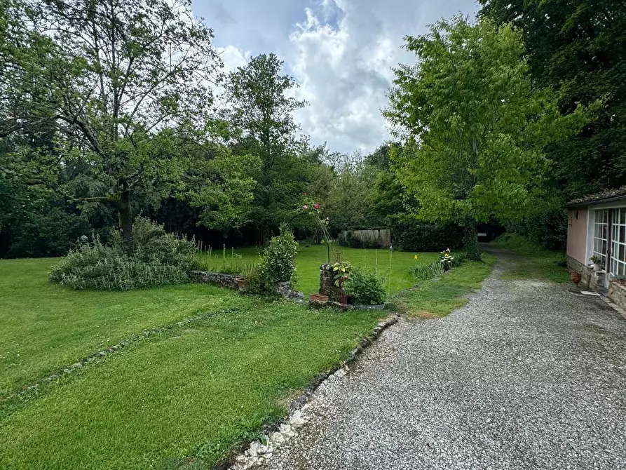 Immagine 12 di Casa colonica in vendita  a Capannori